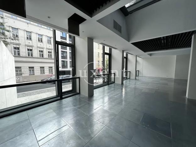 Pronájem kanceláře, Praha - Smíchov, Holečkova, 341 m2