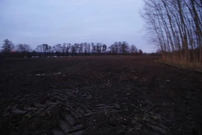 Dražba pole, Dolní Lutyně, 50016 m2