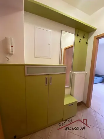 Pronájem bytu 2+kk, Brandýs nad Labem-Stará Boleslav, Riegrova, 46 m2