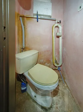 Prodej zemědělské usedlosti, Slabčice, 109 m2