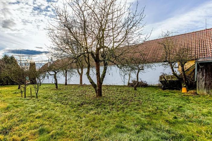 Prodej pozemku pro bydlení, Dolní Bukovsko, 800 m2