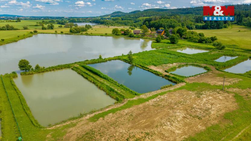 Prodej rybníku, Ostružno, 3377 m2