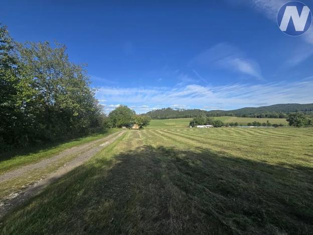 Prodej komerčního pozemku, Lhenice, 1468 m2