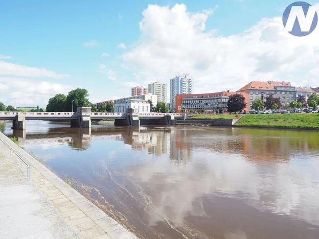 Pronájem obchodního prostoru, Písek, Čechova, 50 m2