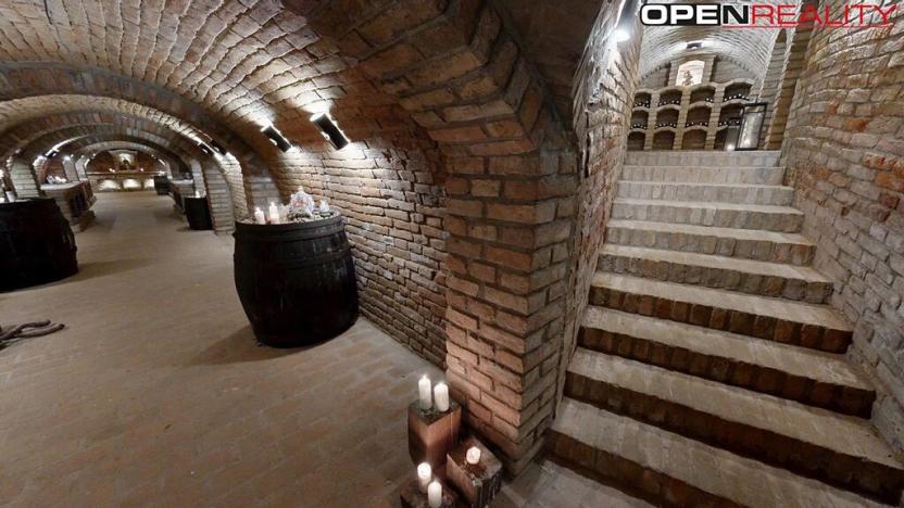 Prodej vícegeneračního domu, Dolní Bojanovice, Vinařská, 367 m2