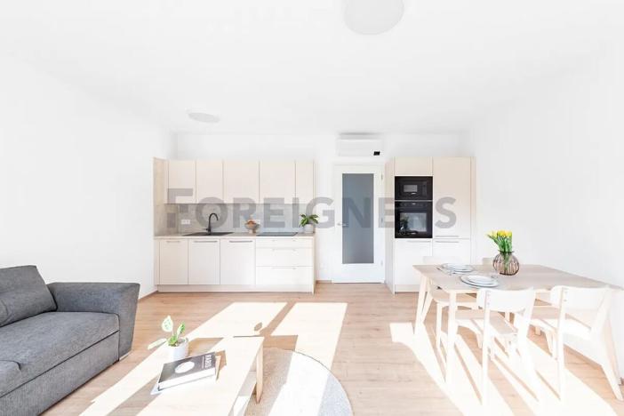 Pronájem bytu 3+kk, Brno, Spolková, 73 m2