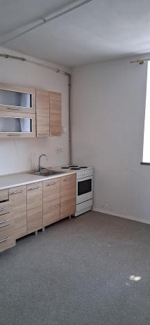 Pronájem bytu 2+kk, Holovousy, 40 m2
