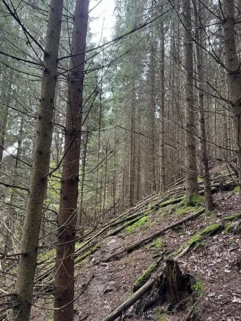 Prodej pozemku, Slavče, 13051 m2