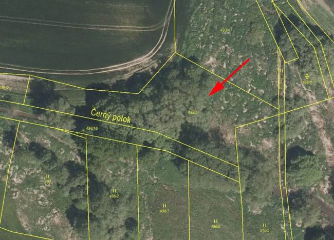 Prodej louky, Dub, 3051 m2