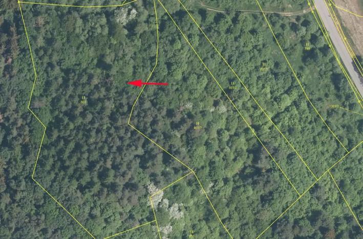 Prodej podílu louky, Jankovice, 4420 m2