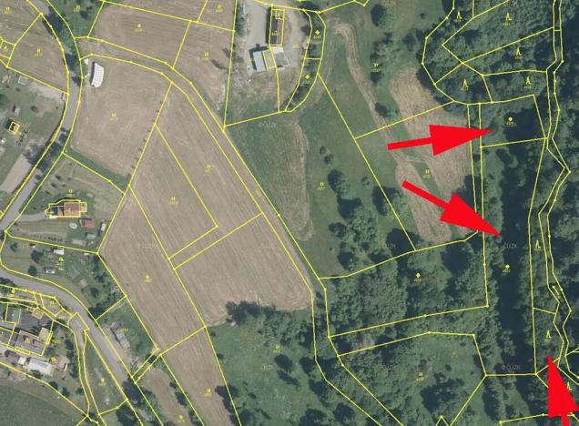 Prodej lesa, Železný Brod, 6562 m2