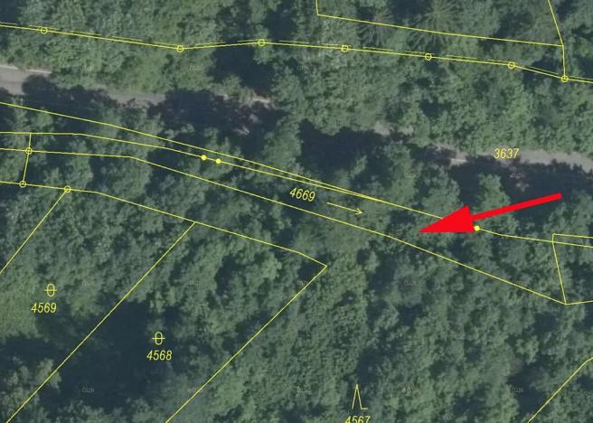 Prodej lesa, Železný Brod, 437 m2