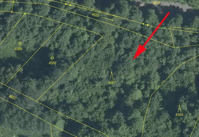 Prodej lesa, Železný Brod, 3547 m2