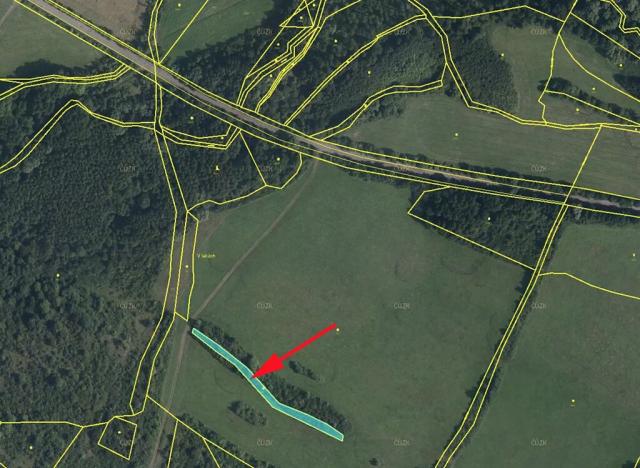 Prodej lesa, Mašťov, 1385 m2