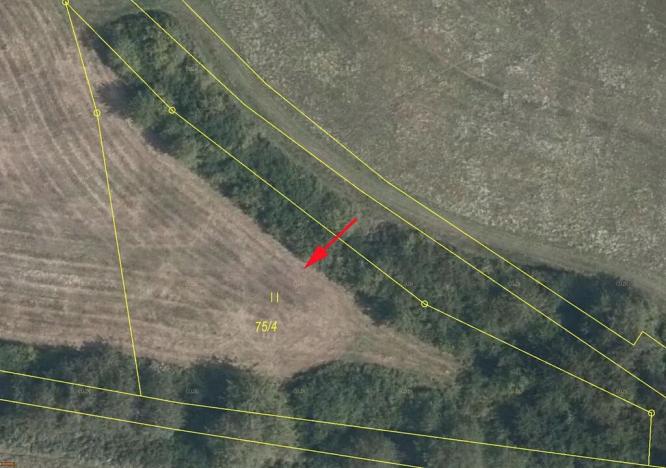 Prodej louky, Mašťov, 2603 m2