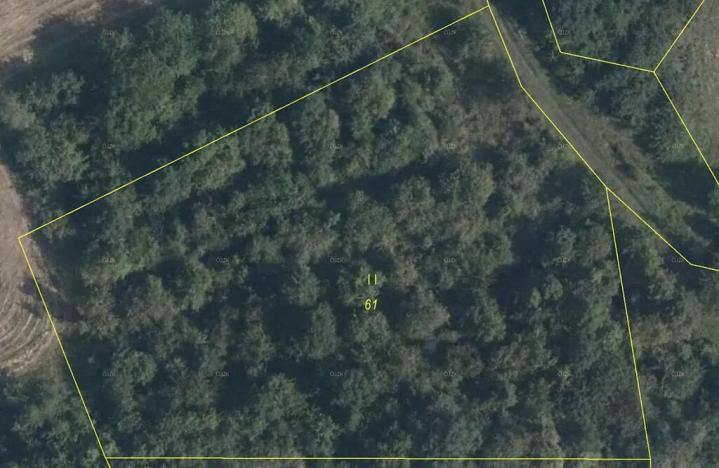 Prodej lesa, Mašťov, 4840 m2