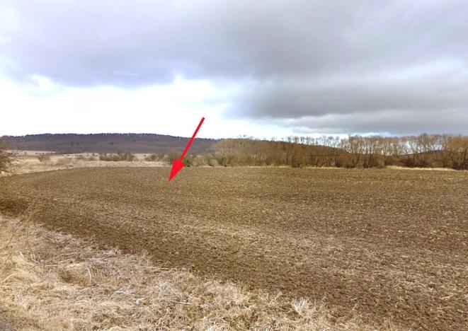 Prodej pole, Mašťov, 8153 m2