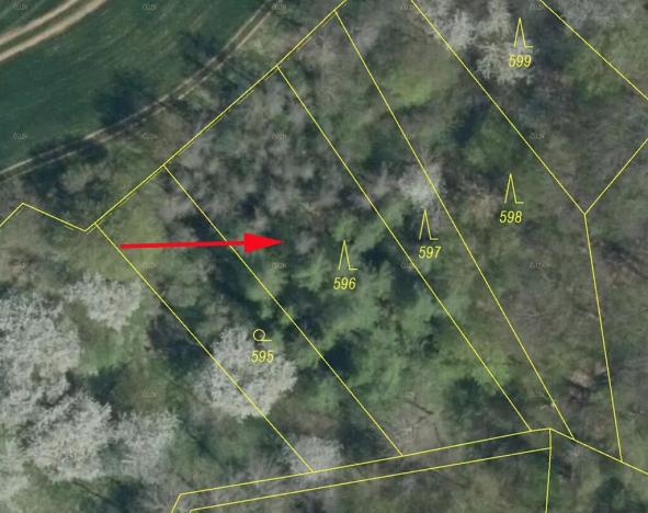 Prodej lesa, Mšeno, 1050 m2
