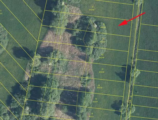 Prodej louky, Cerekvice nad Loučnou, 1811 m2