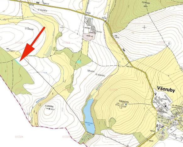 Prodej lesa, Všeruby, 892 m2