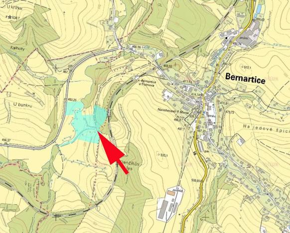 Prodej lesa, Bernartice, 611 m2