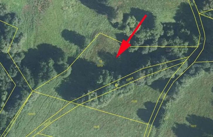 Prodej louky, Bernartice, 2455 m2