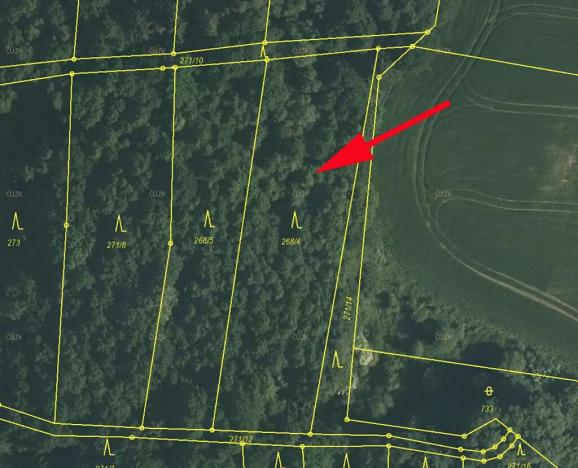 Prodej lesa, Zlatá Koruna, 2465 m2