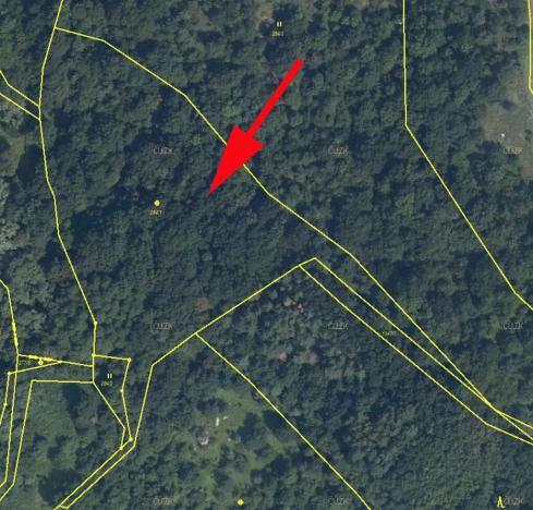 Prodej lesa, Žiželice, 10077 m2