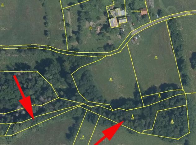 Prodej podílu lesa, Malá Bystřice, 1421 m2