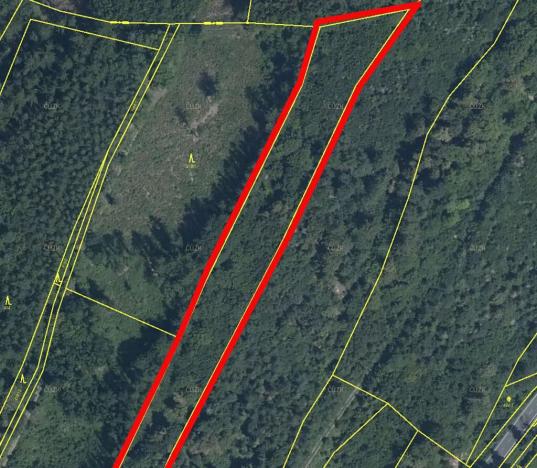 Prodej lesa, Odry, 17778 m2