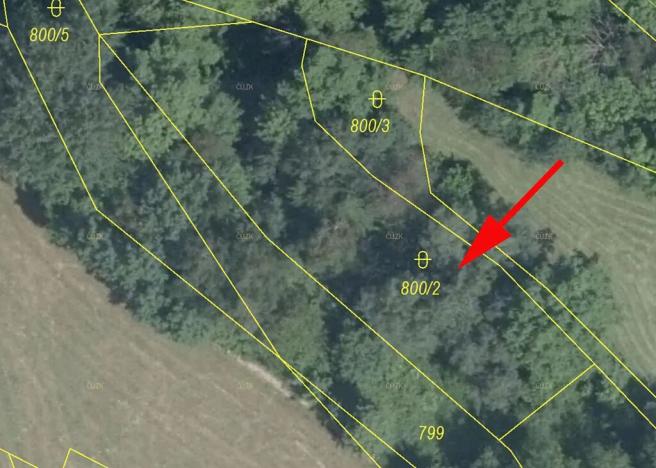 Prodej lesa, Zlatá Olešnice, 956 m2