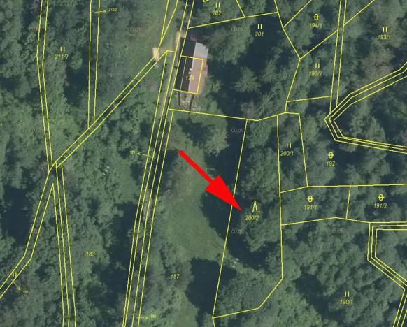 Prodej lesa, Roztoky u Semil, 1169 m2