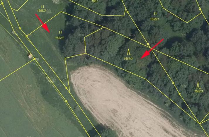 Prodej lesa, Dubnice, 2352 m2