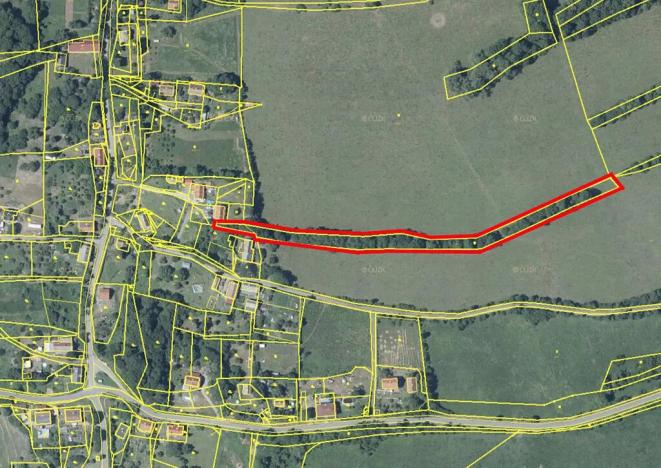 Prodej louky, Kozly, 3715 m2