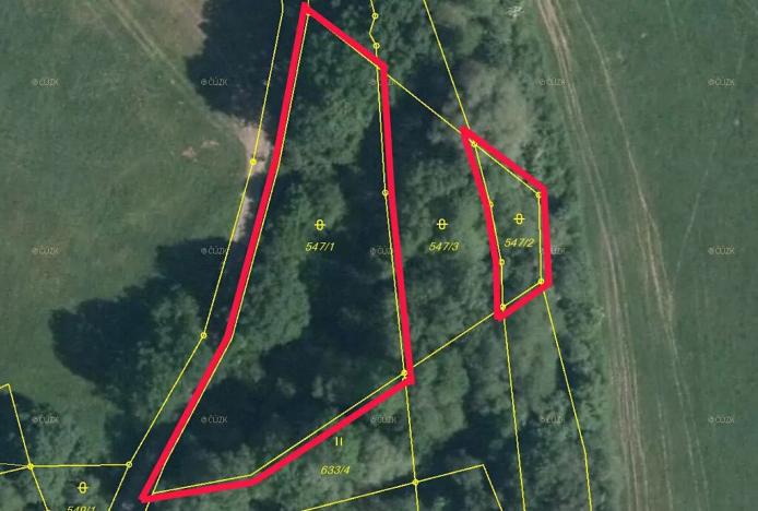 Prodej lesa, Stružnice, 2484 m2