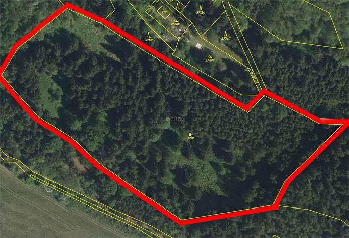 Prodej lesa, Brtnice, 21827 m2