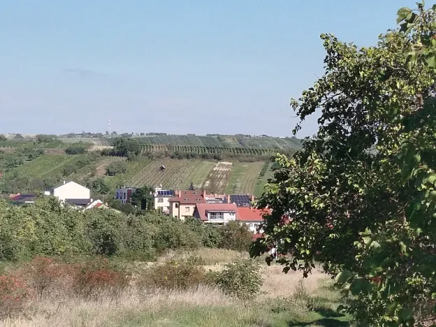 Prodej zahrady, Velké Pavlovice, 449 m2