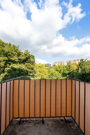 Prodej vícegeneračního domu, Brno, Drobného, 242 m2