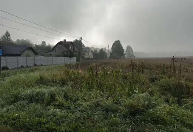 Dražba pole, Orlová, 140181 m2