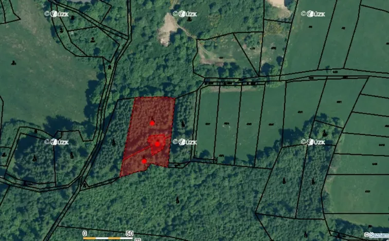 Prodej lesa, Kolinec, 5322 m2