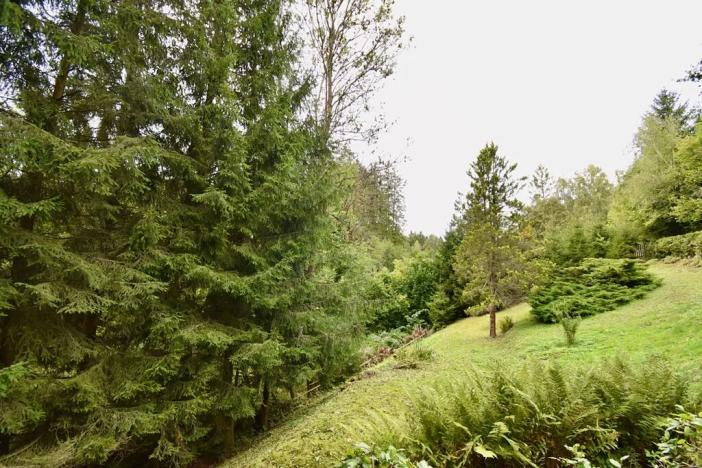 Prodej chaty, Číhošť, 75 m2