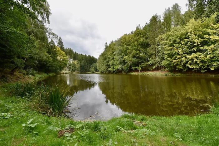 Prodej chaty, Číhošť, 75 m2