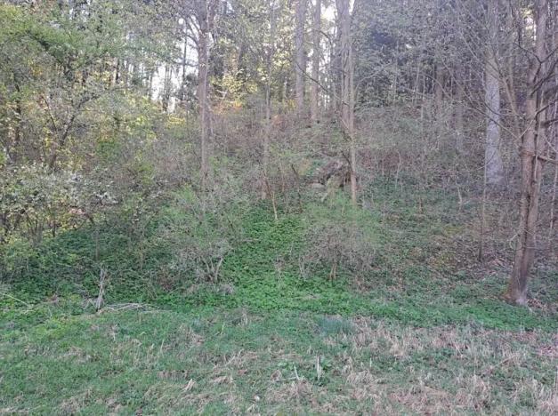 Prodej pozemku, Pohledy, 1141 m2