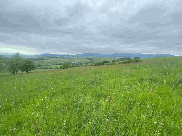 Prodej pozemku, Králíky - Dolní Hedeč, 25968 m2