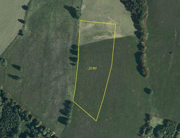 Prodej pozemku, Králíky - Dolní Hedeč, 25968 m2