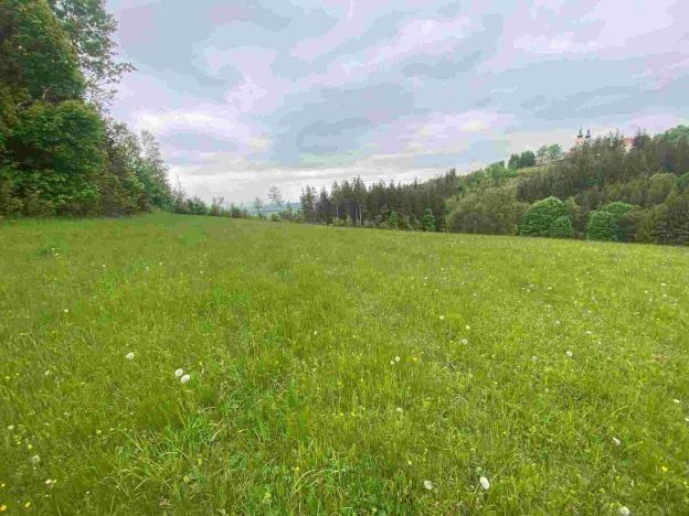 Prodej pozemku, Králíky - Dolní Hedeč, 25968 m2