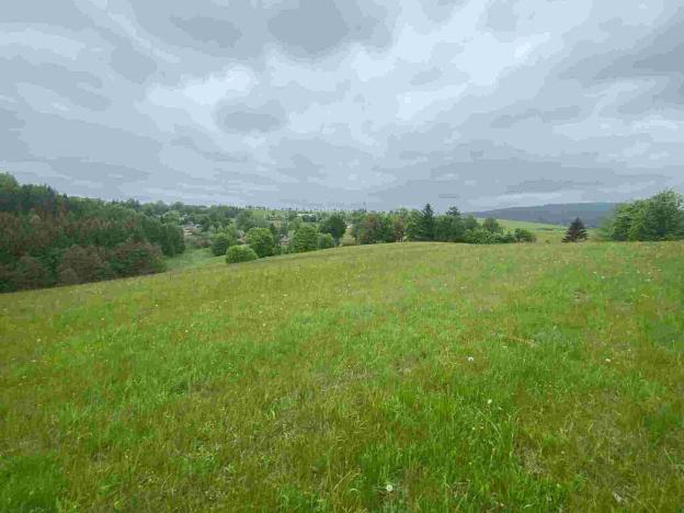 Prodej pozemku, Králíky - Dolní Hedeč, 25968 m2