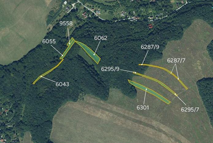 Prodej pole, Krajné, Slovensko, 21953 m2