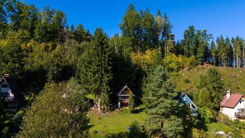 Prodej chaty, Staré Buky, 40 m2