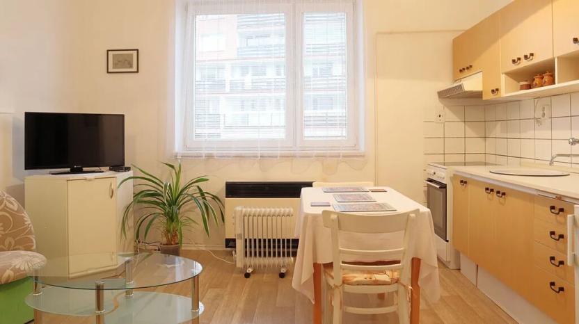 Prodej bytu 1+kk, Benešov, Čechova, 31 m2